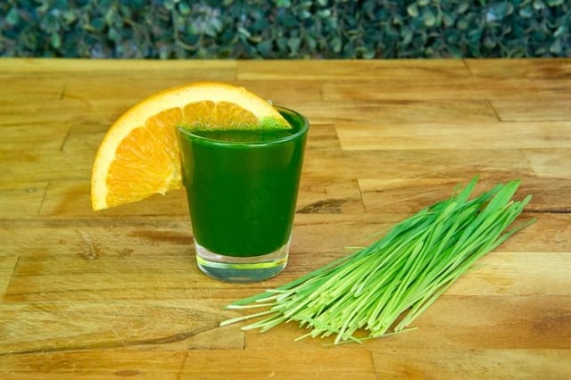 Wheatgrass Shot 1.5 oz.